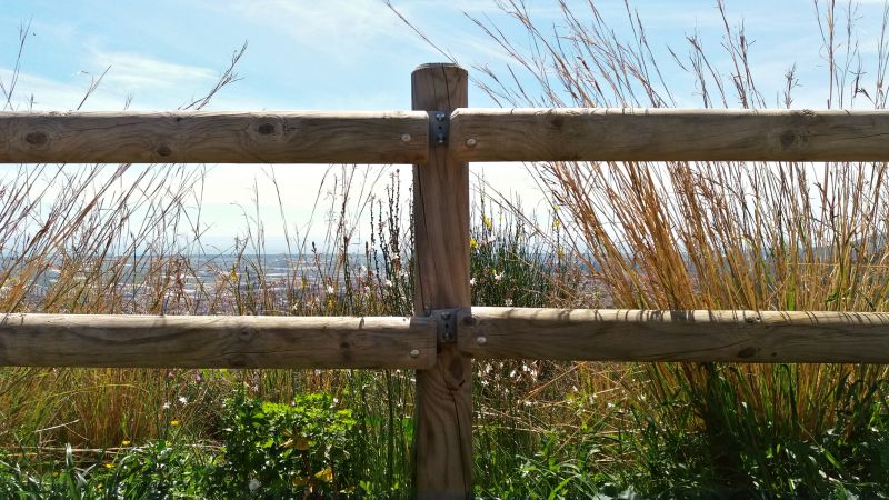 Fence Installation in Summer